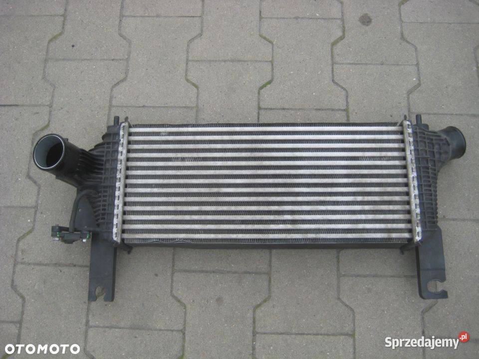 NISSAN NAVARA D40 LIFT 25DCI CHŁODNICA POWIETRZA wielkopolskie sprzedam