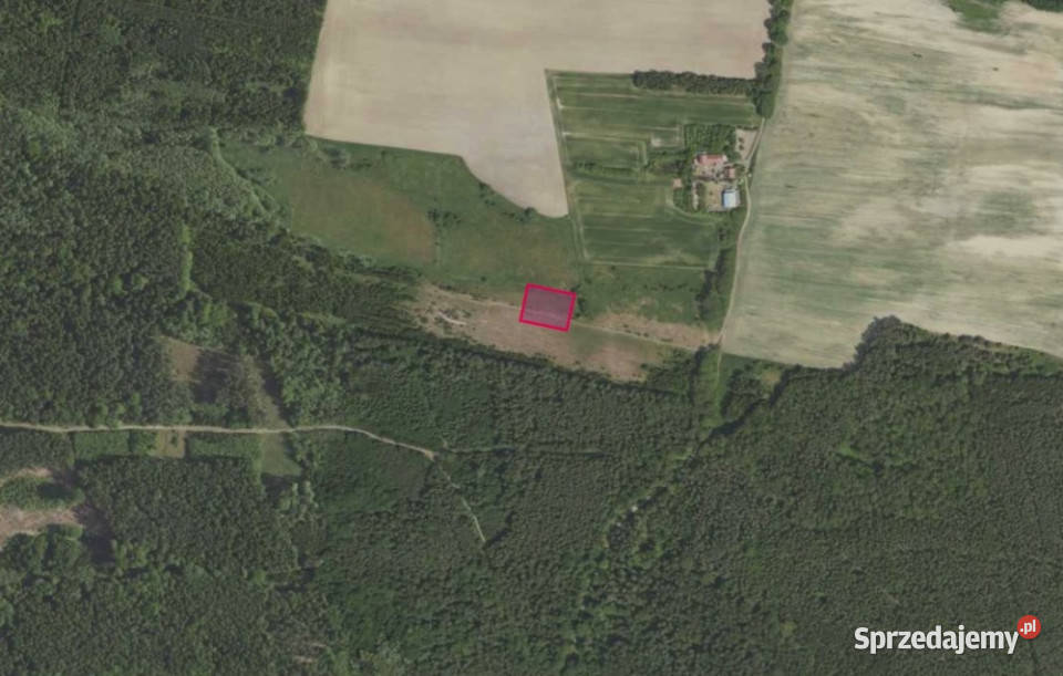 Działka 3192 w miejscowości Grabowno Wielkie sprzedam