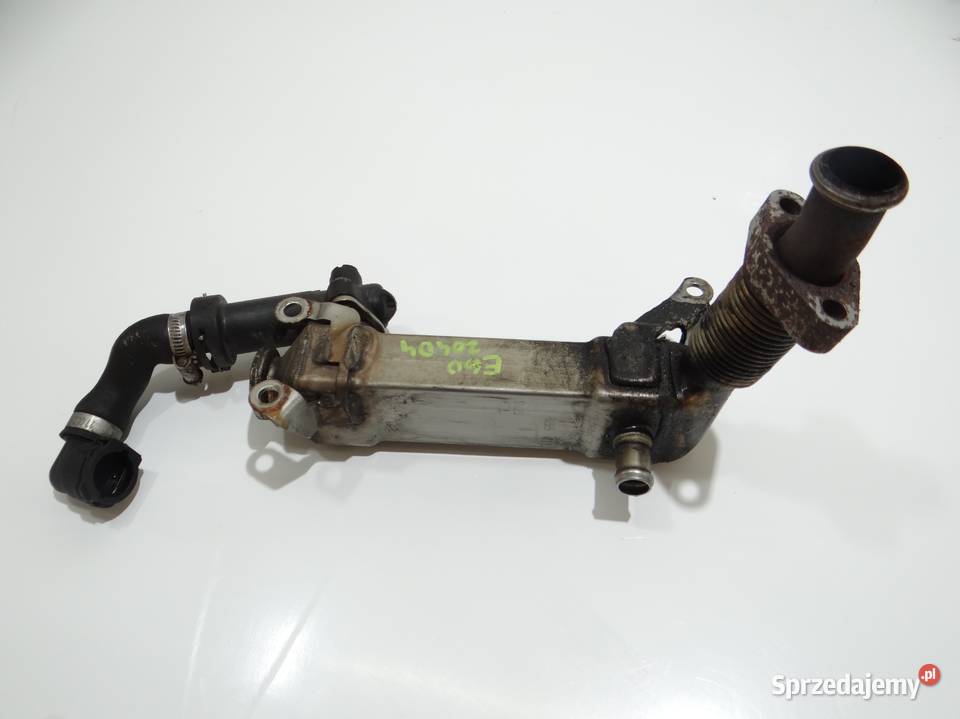 CHŁODNICA SPALIN EGR BMW E60 E61 204D4 7794245 Strzyżewice