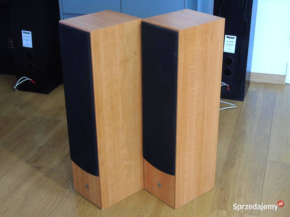 Kolumny Cat 2 x 380 wat ładne DOSTAWA Jasło