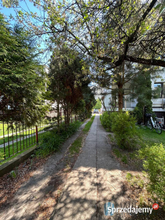 wynajmu lokalu 58m2 Warszawa Wynajem