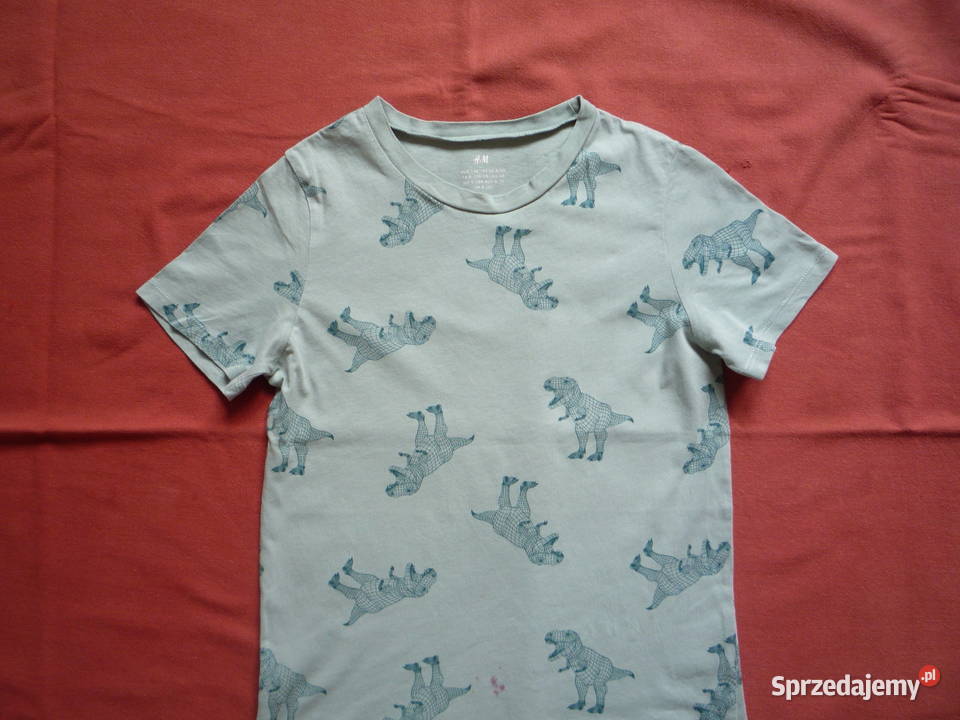 HM r 134 Niebieskozielona Koszulka Dinozaury