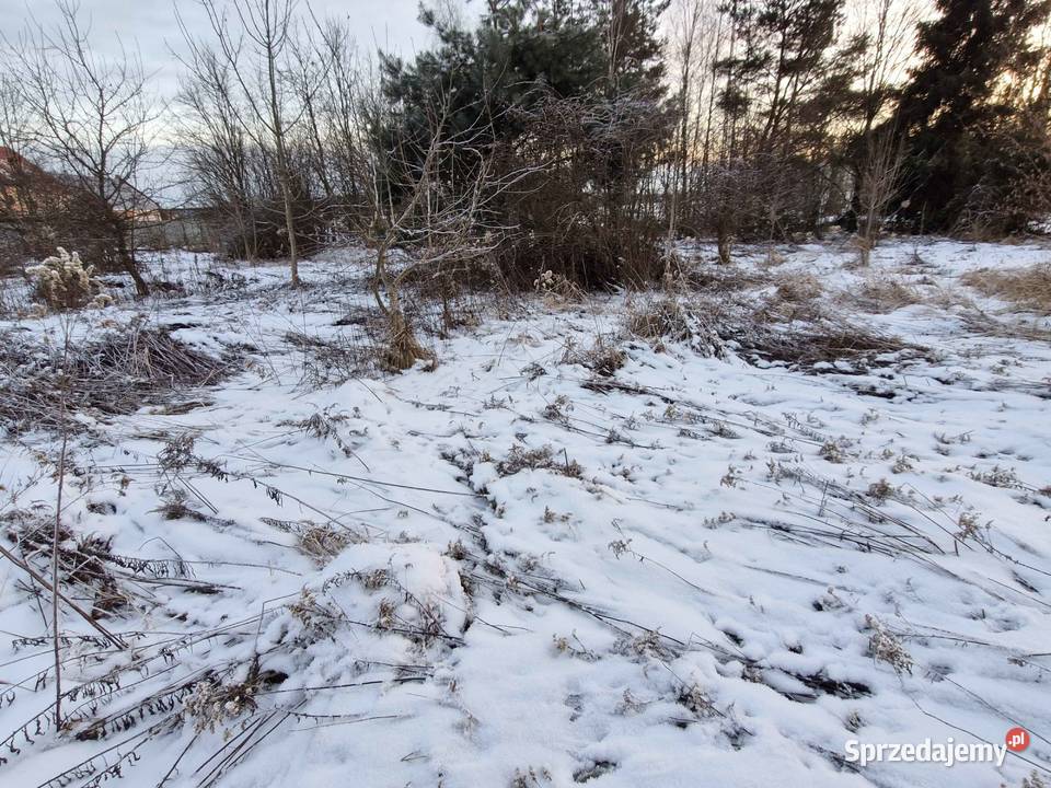 1000 m Działki Budowlanej dolnośląskie Chełstów