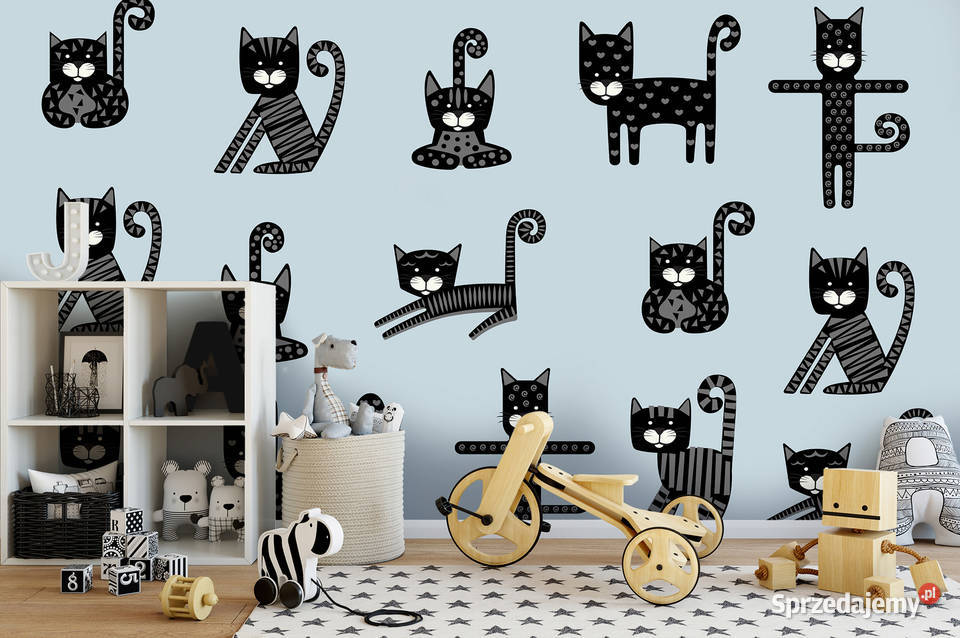 Tapeta fototapeta Kotki dzieci Leszno
