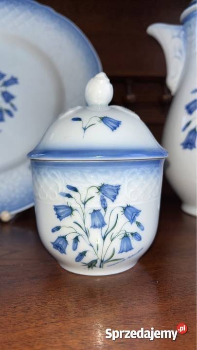 Talerz do powieszenia Schumann Arzberg Echt