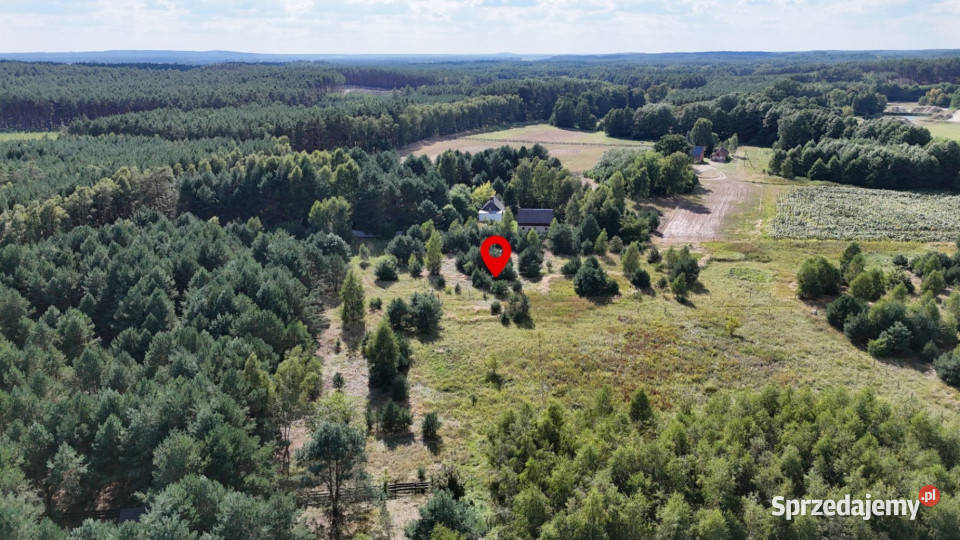 Działka w lesie 3006 m pozwolenie na budowę wielkopolskie Piłka