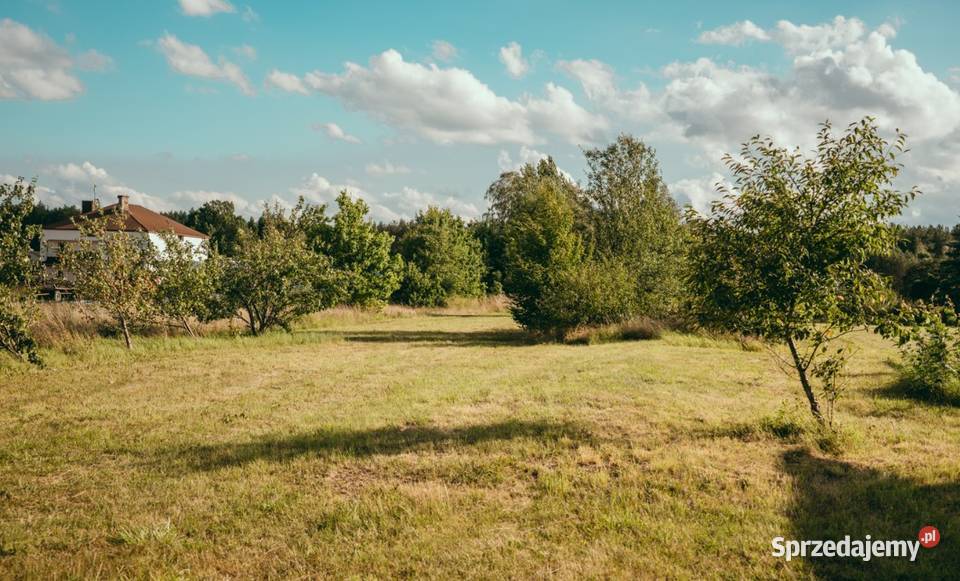 Dom i budynek usługowy 200 m2 działka 4 335 m strych podlaskie Osipy-Wydziory Pierwsze