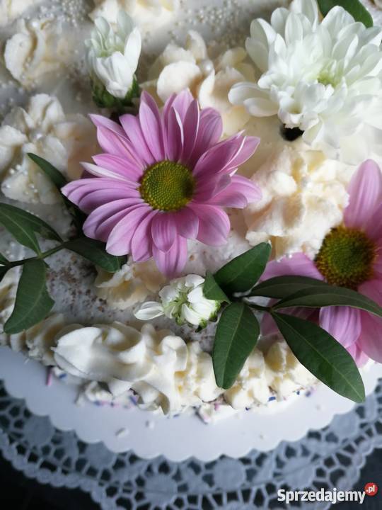 Torty na każdą okazję Wrocław