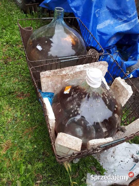 Balon na wino Szczecin