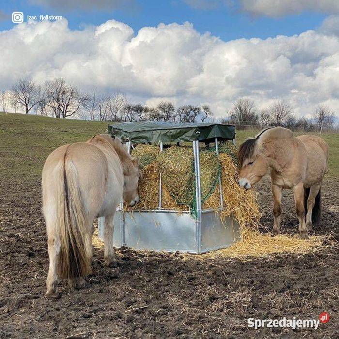 Paśnik bydła sześciokątny z zadaszeniem 12 Nowy Sącz