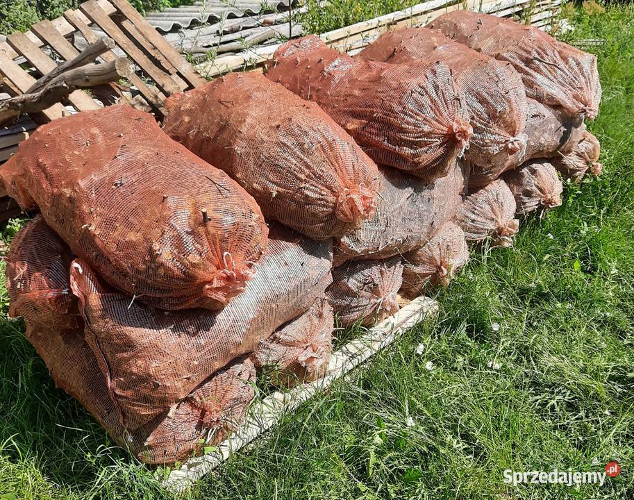 Drewno opałowe suche rąbane Opał Międzyrzec Podlaski
