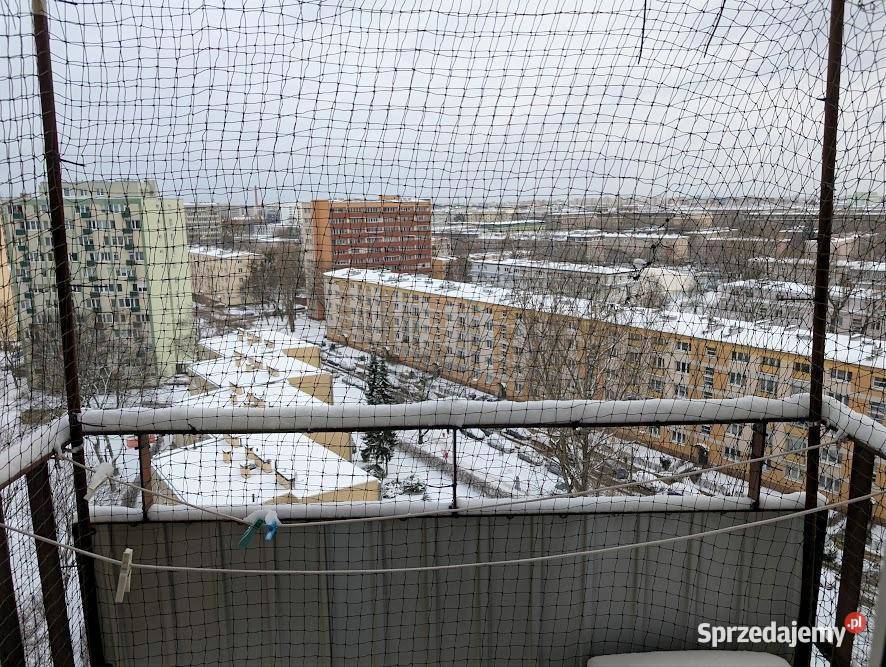 Kawalerka Karola Darwina 25m winda Piętro 11 Sprzedaż