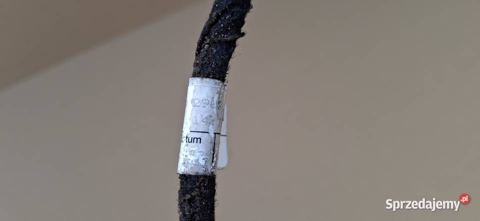 SMART FORTWO W451 RAMKA KLAPY TYŁ SPOILER ŁOTKA osobowe lubuskie Bieleń