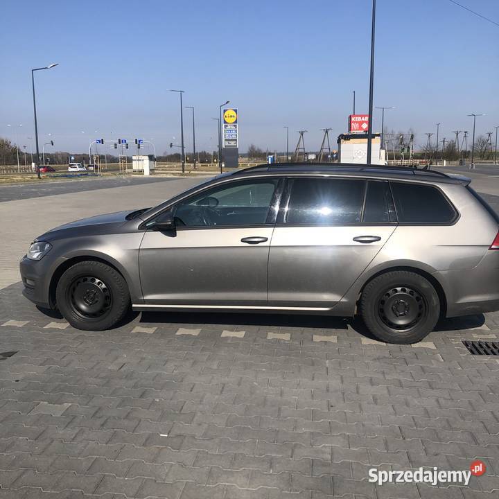 Golf 7 Kombi Tdi Golf Poznań