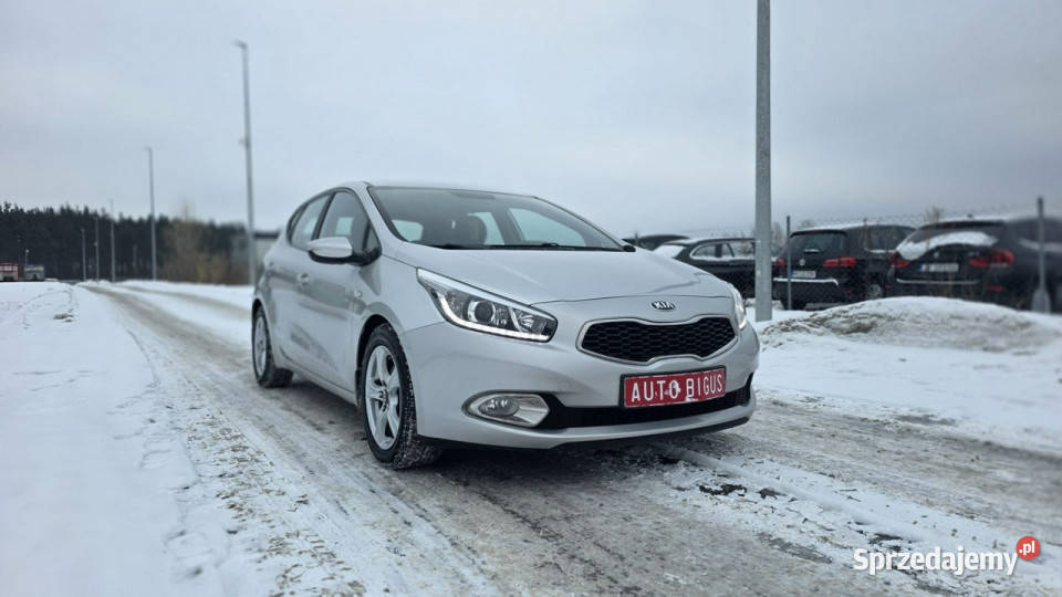 Kia Ceed klima zarejestrowana salon polska LEDY 286000km Lębork sprzedam