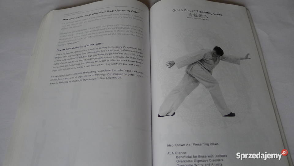 SANTER Shaolin Chi Kung 18 Exercises RARE Luohan mazowieckie
