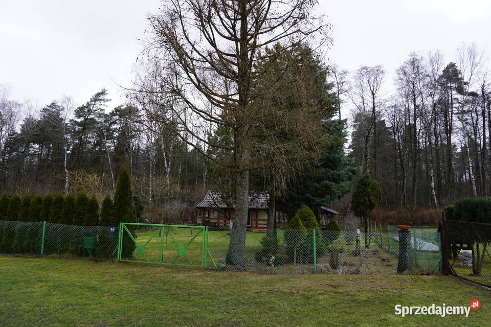 Działka rekreacyjna 500m2 w m Guty koło Giżycka Giżycko