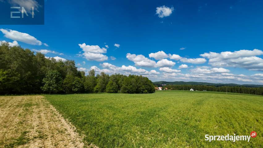 Działka Glinik Dolny 24100m2 24100m2 sprzedam