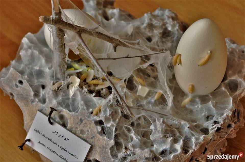 MGŁA Instalacja artystyczna Współczesna wielkopolskie Radzewice