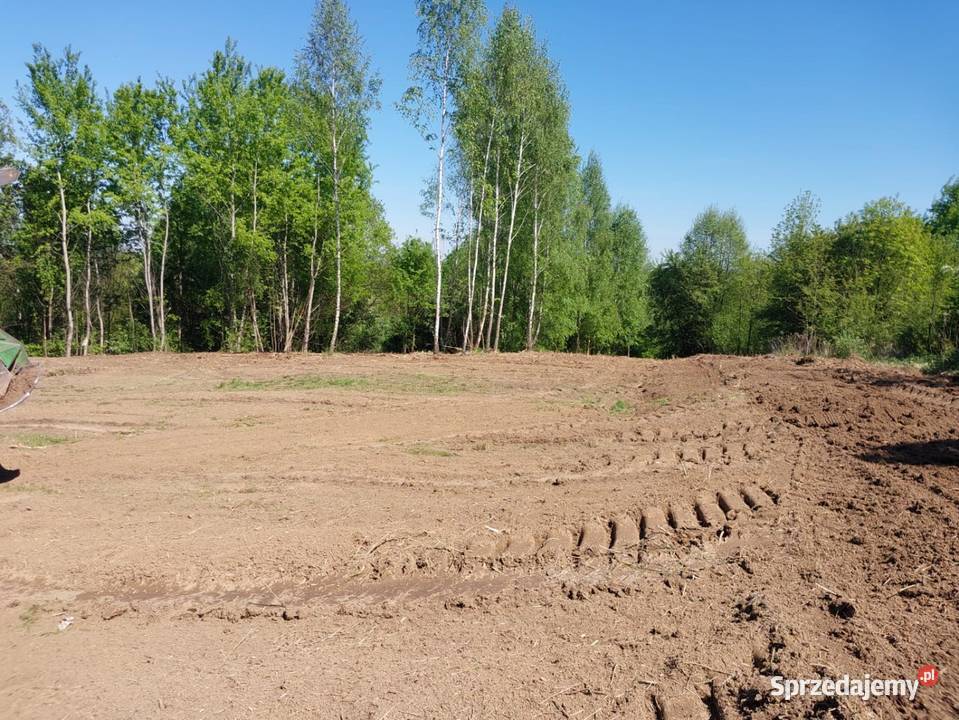 Wycinka ścinka drzew czyszczenie działek usługi Tarnów