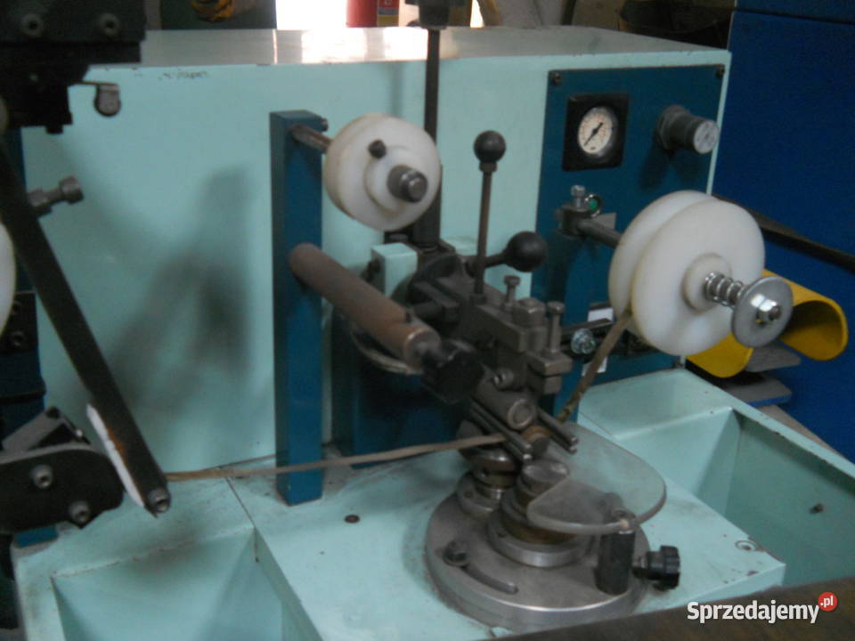 Złociarka brzegów śląskie