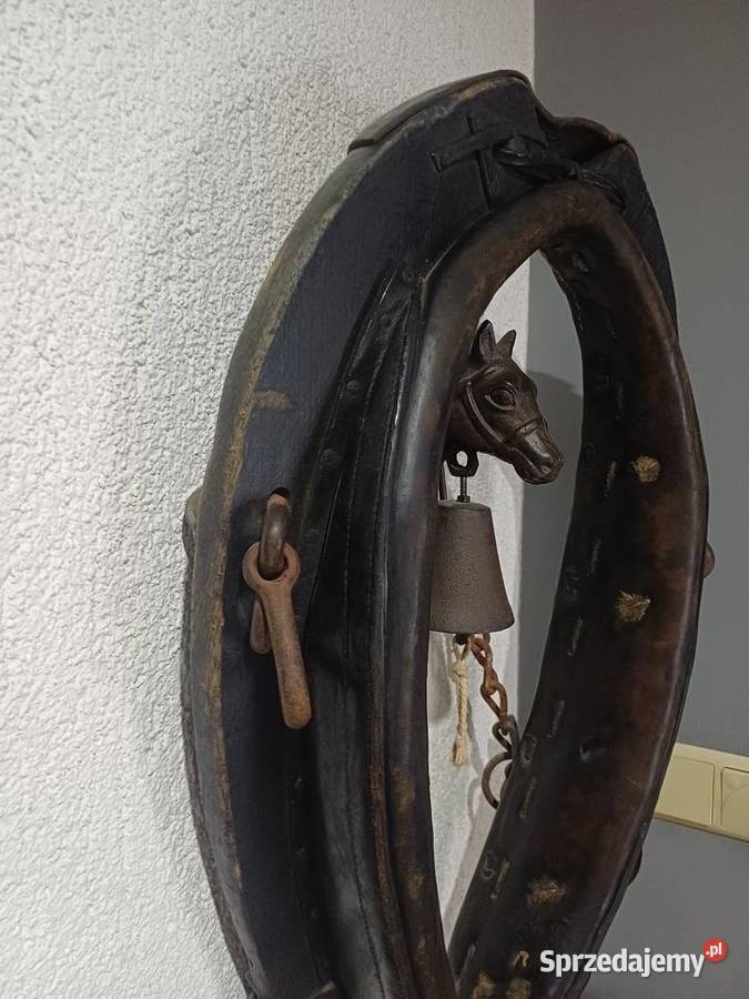 Homonto konia Nowy Tomyśl