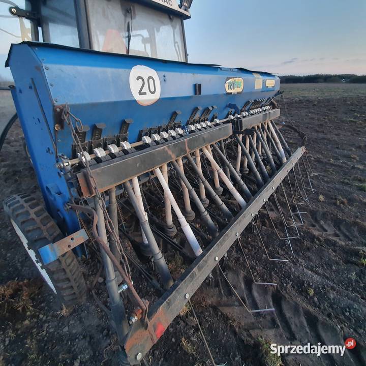 Siewnik poznaniak Skępe