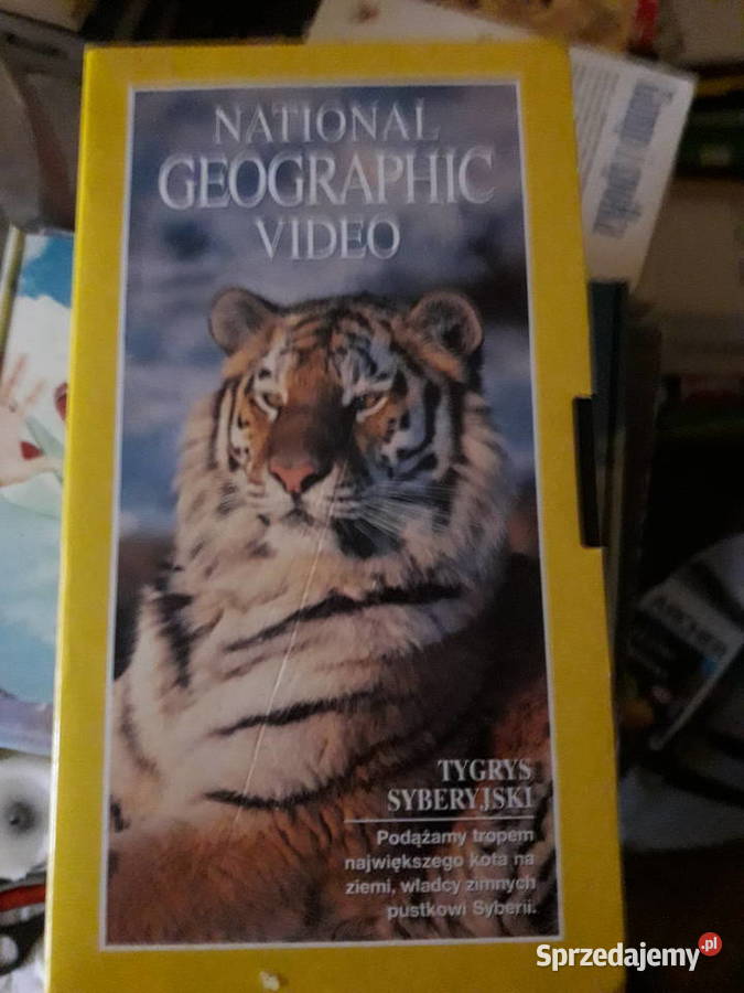 Zestaw National Geographic Video kasety 4x 3 i więcej Warszawa