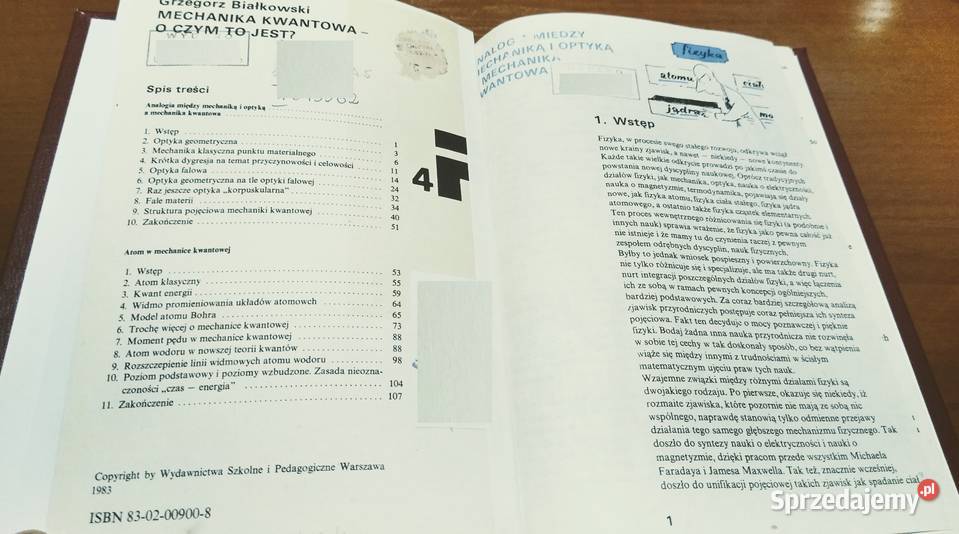 Mechanika kwantowa o czym to jest Grzegorz Gdańsk