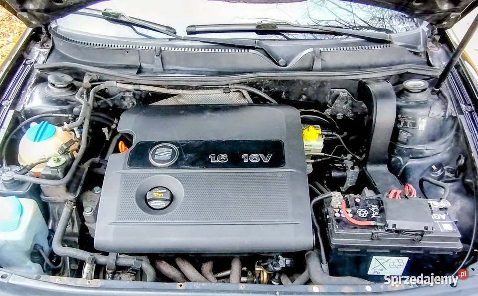 Seat Leon 16 Nowy Rozrząd nowy olej Klima Polift Rok produkcji 2004 śląskie Częstochowa sprzedam