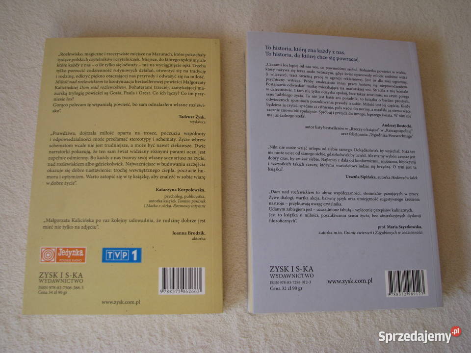 Małgorzata Kalicińska Dom rozlewiskiem Miłość Brzegi