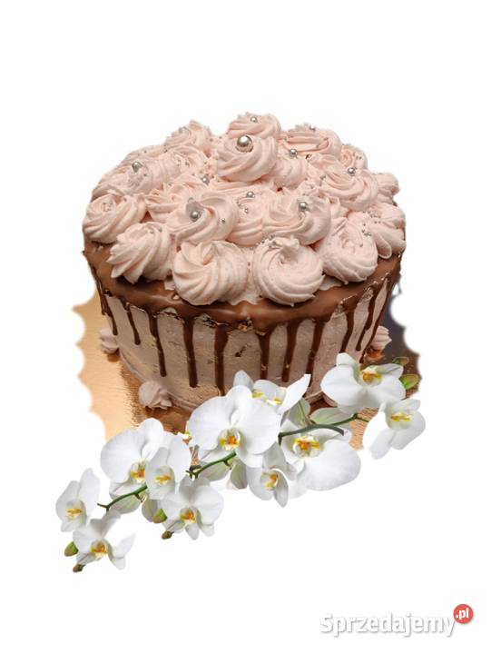 Tortowe słodkości Catering i gastronomia