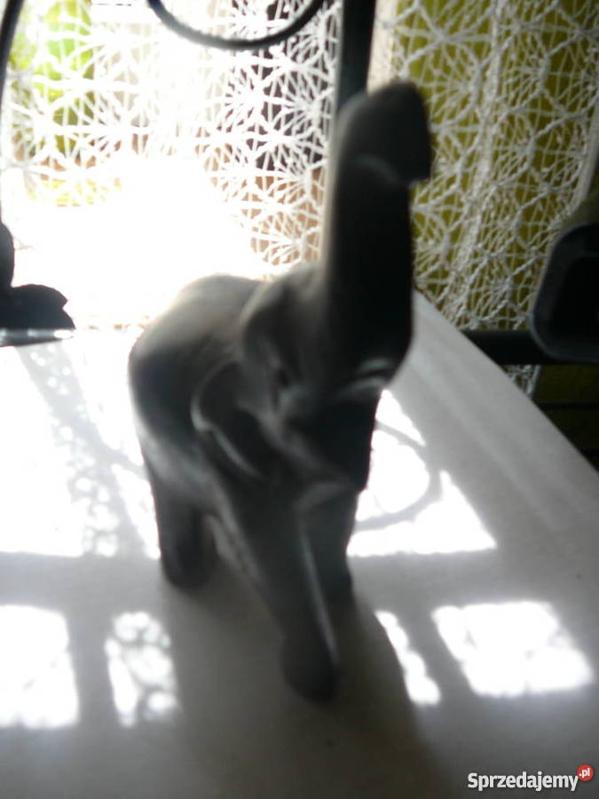 Słoń mały drewno Wrocław