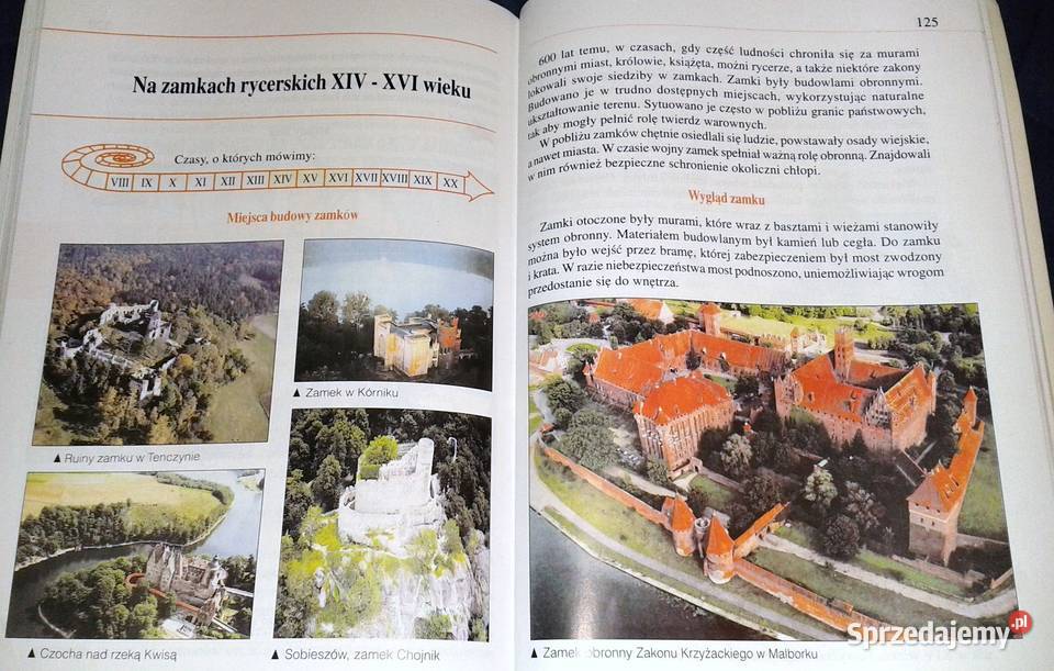 Historia i społeczeństwo 4 W S Wyrwa W S Fertsch Pozostałe Chełm sprzedam