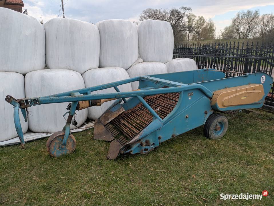 Kopaczka elewatorowa dwurzędowa rolnika Maciejowice