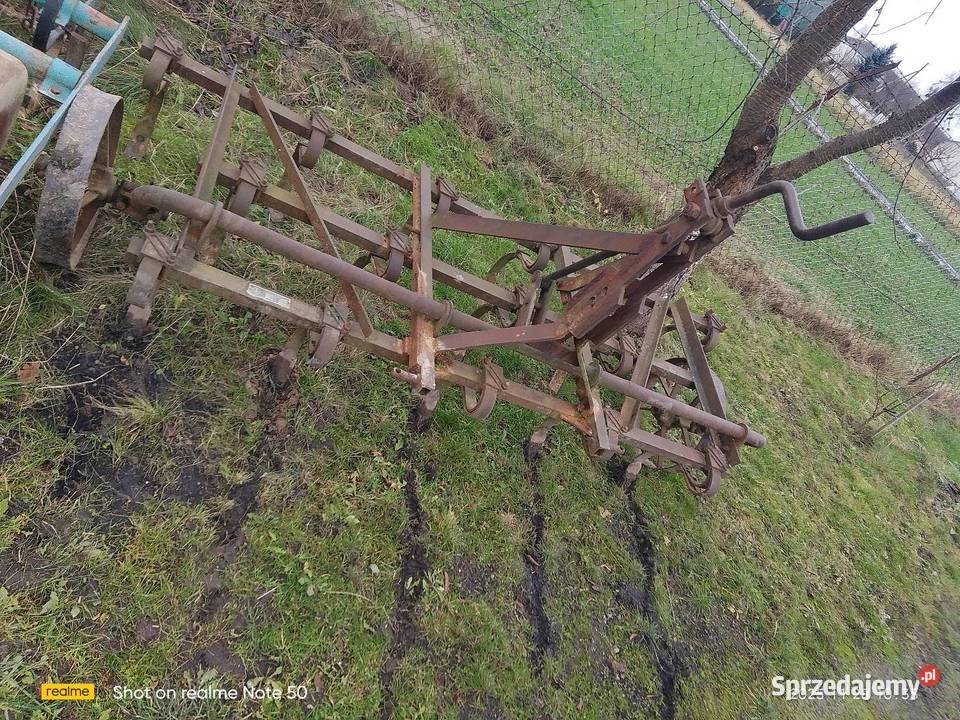 Gruber lubelskie Oleśniki