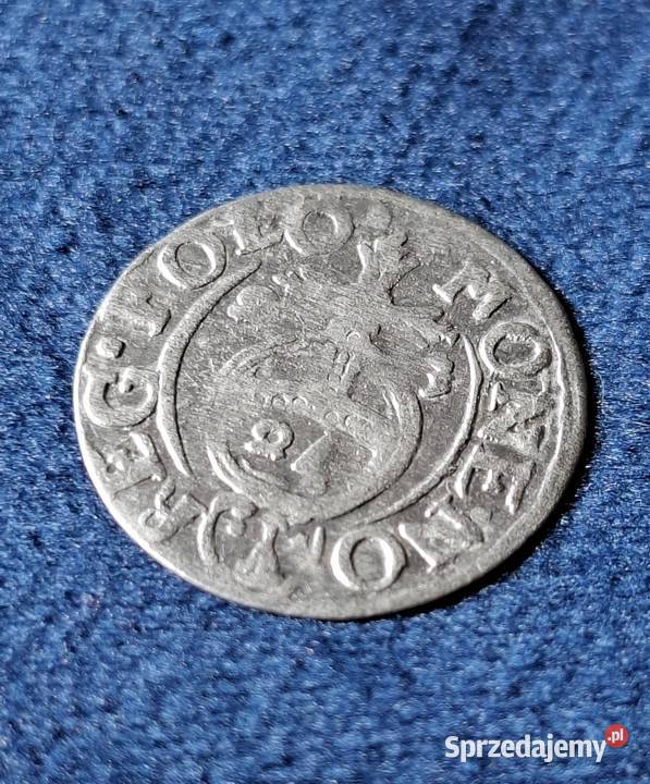 Polska Królewska półtorak Zygmunt III 1623 Wejherowo sprzedam