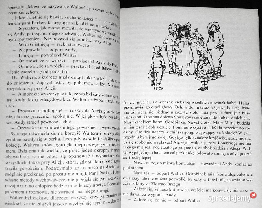Ania ze Złotego Brzegu Lucy Maud Montgomery Pozostałe Chełm