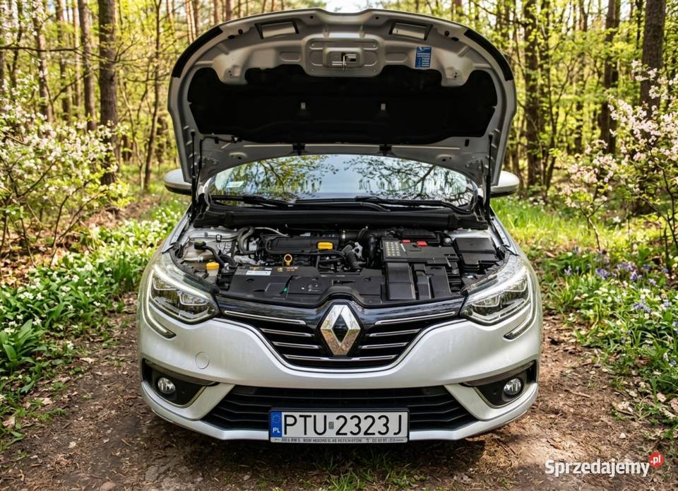 Renault Megane IV 16 DCI 130 ABS Słodków-Kolonia