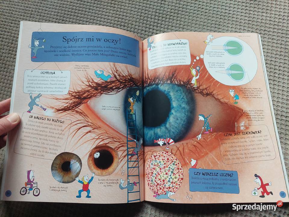 National Geographic Małe Mózgofalki poznają sprzedam