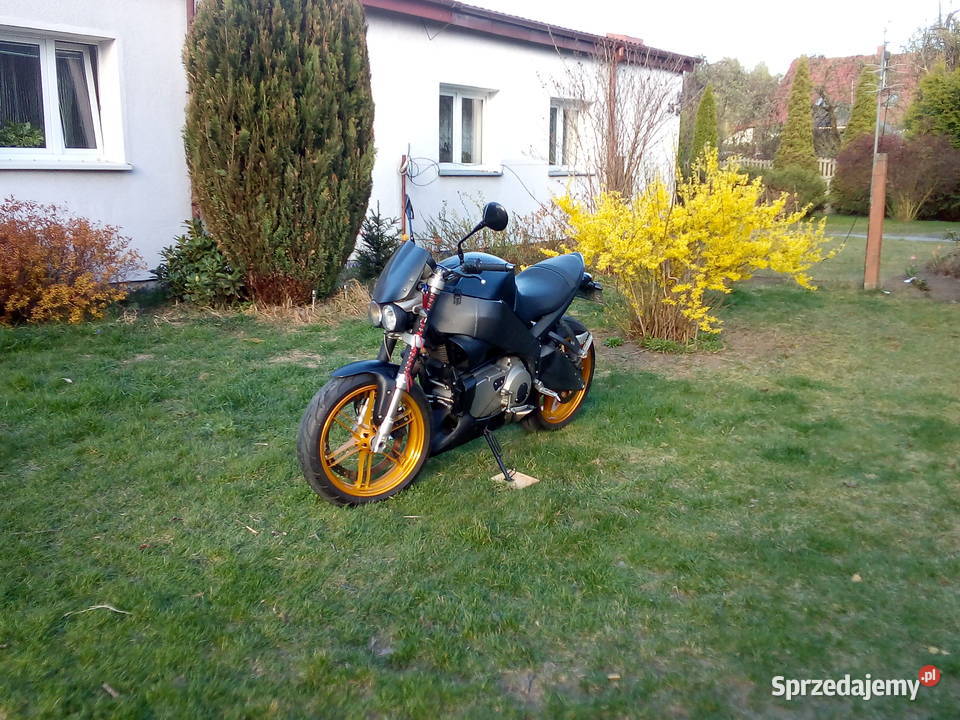 Buell xb12s lightning harley davidson sportster Łódź