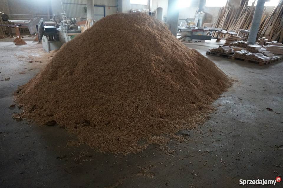 Trocina Wiórki sosnowe Suche Trociny Drzewce