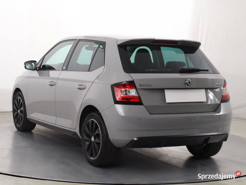 Skoda Fabia 10 TSI szary Fabia Katowice