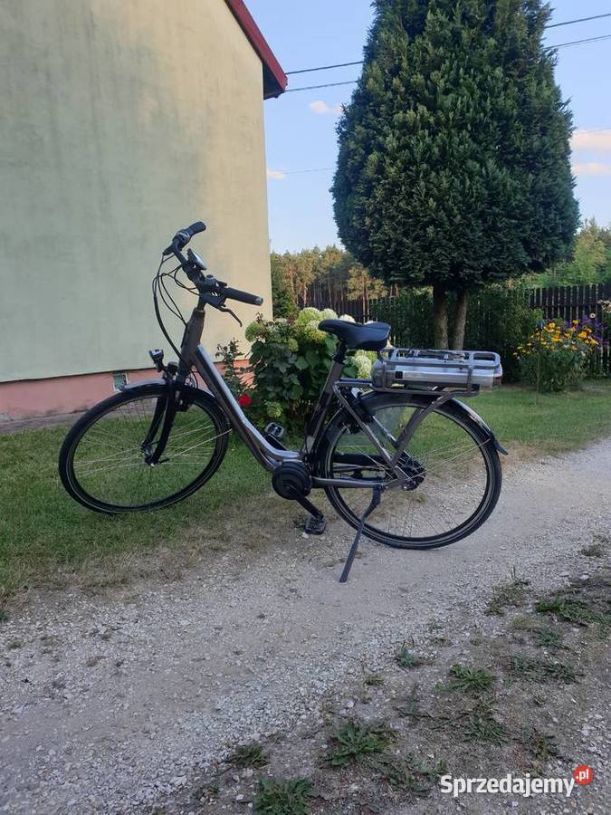 Rower elektryczny Spata Pojazdy elektryczne Brzustów sprzedam