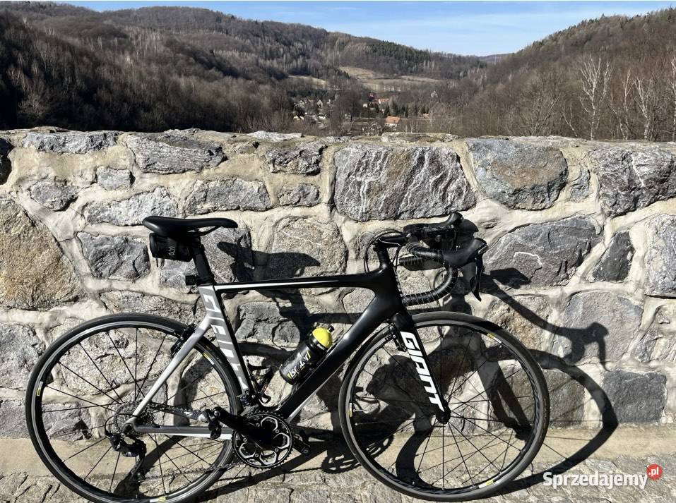 Giant Propel 2 Wałbrzych