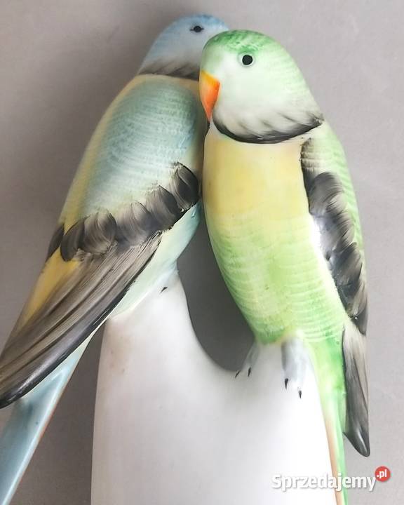 Papużki faliste zielone Hollohaza papugi Węgry