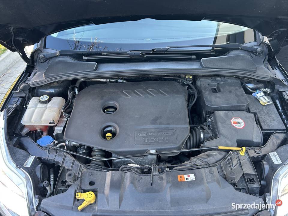 Ford focus black edition 16 tdci okazja ideał