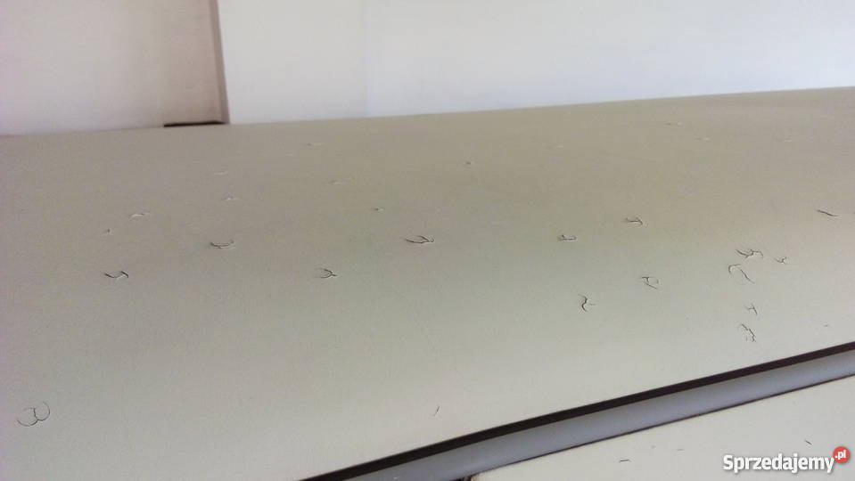 Lincoln Town Car 120 limuzyna 860 m Town Car dolnośląskie Ziębice