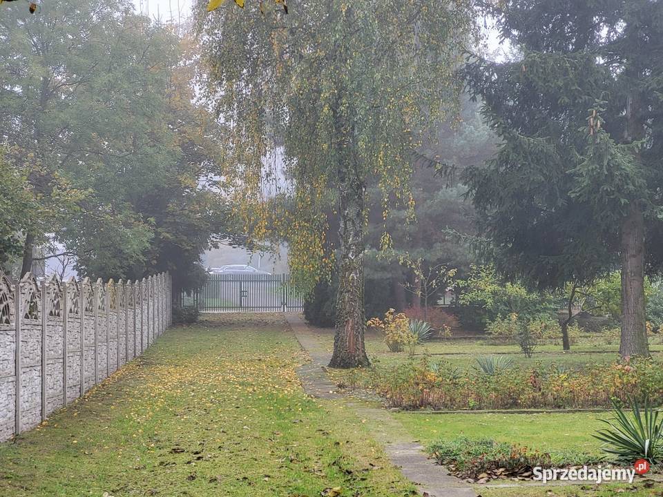 Sprzedam działkę Kowala-Stępocina