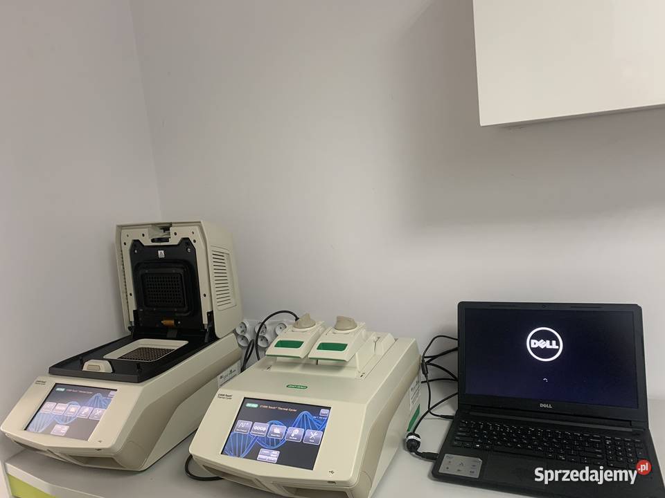 REAL TIME PCR Termocykler C1000 Touch BioRad Opole